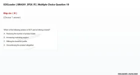 19.webp