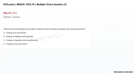23.webp