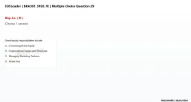 29.webp