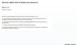 42.webp