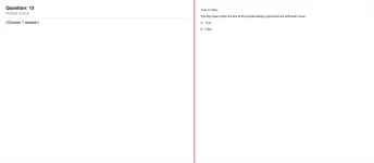 13.webp
