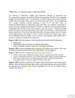 PMG201c SP26 PE.webp