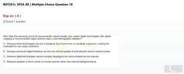 BDT201c SP26 RE_018.webp