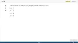 MLN111 SP26 FE_31.webp