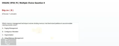Q_006.webp