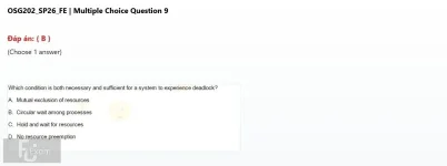 Q_009.webp