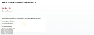 Q_014.webp