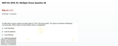 Q_048.webp