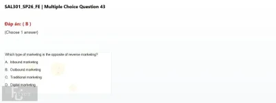 SAL301 SP26 FE_043.webp