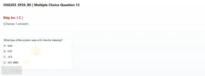 OSG203 SP26 FE RE_13.webp
