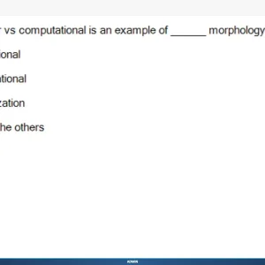 NLP301c SP26 FE_004.webp