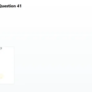 WDU202c SP26 FE_041.webp