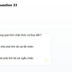 MLN111 SP26 B5 FE_33.webp