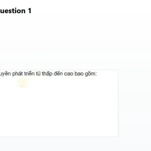 MLN122 SP26 B5 FE_001.webp