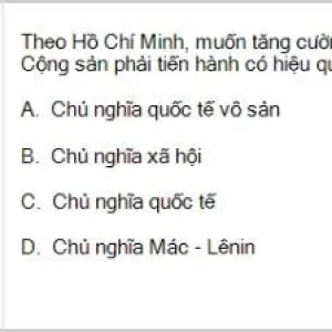 HCM202 SP26 B5 FE_020.webp