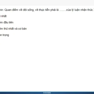 MLN111 SP26 B5 FE RE_007.webp