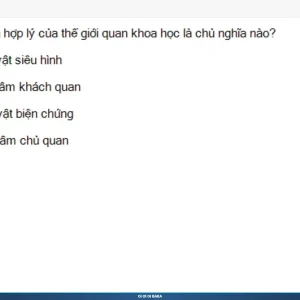 MLN111 SP26 B5 FE RE_022.webp