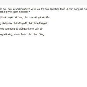 MLN111 SU26 FE_007.webp