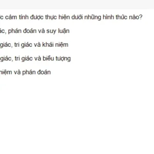 MLN111 SU26 FE_025.webp