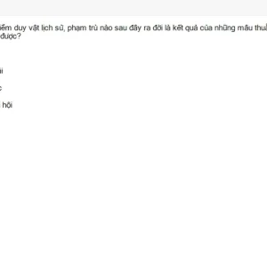 MLN111 SU26 FE_045.webp