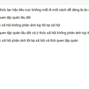 MLN111 SU26 FE_046.webp