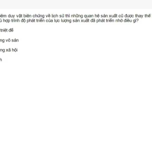 MLN111 SU26 C2FE_044.webp