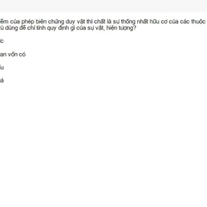Media 'MLN111 SU26 RE_012.webp' in category 'MLN111'