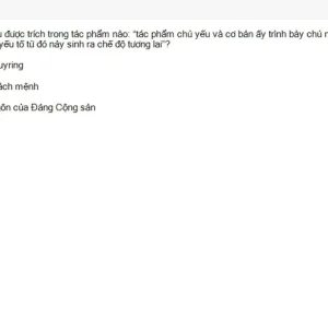 MLN131 SU26 FE RE_007.webp