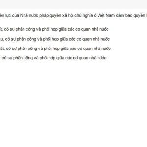 MLN131 SU26 FE RE_026.webp