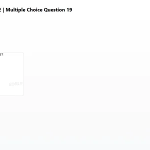 mc_question_19.png