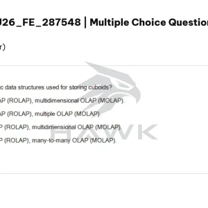 DBM301 SU26 FE_019.webp