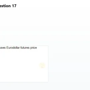 Media 'FIN308 SP26 FE RE_017.webp' in category 'FIN308'