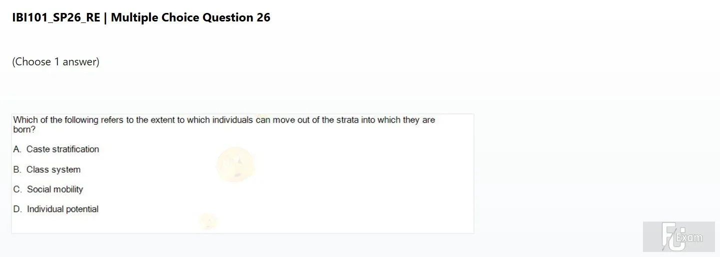 IBI101 SP26 FE RE_026.webp