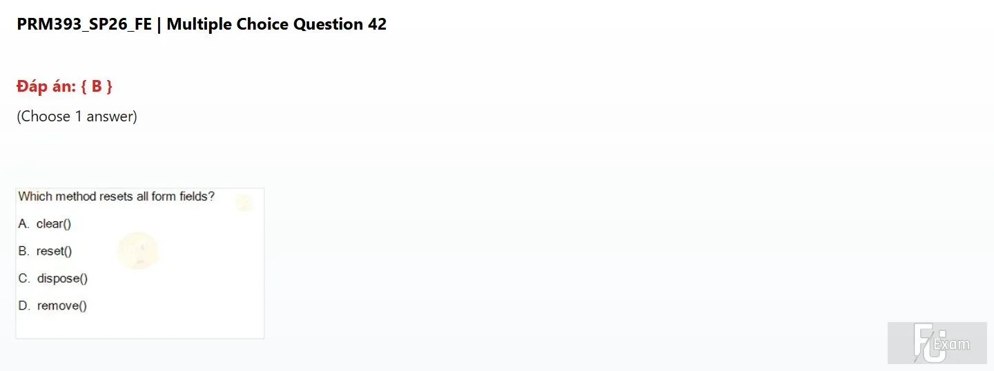 PRM393 SP26 FE_42.webp